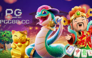 赏金国际vip登录入口免费版