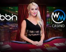 赏金国际vip登录入口客户端