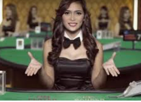 赏金国际vip登录入口电脑免费版